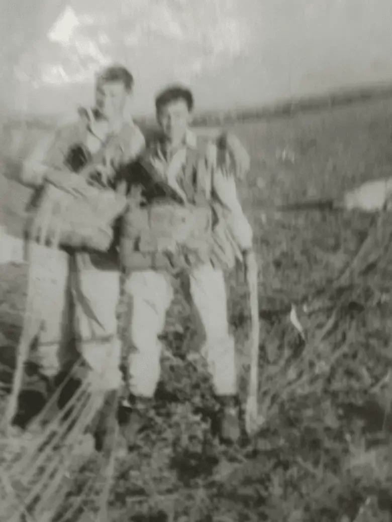 Небесное Братство: Возрождение Героев в Цвете